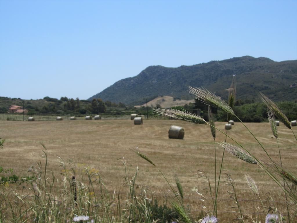 Agriturismo Sa Tiria Теулада Экстерьер фото